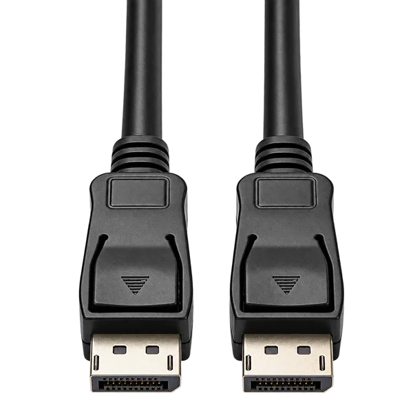 displaykabel, detail van de twee DisplayPort-connectoren